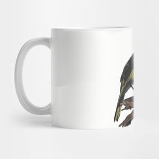 New Holland Honeyeater art Mug